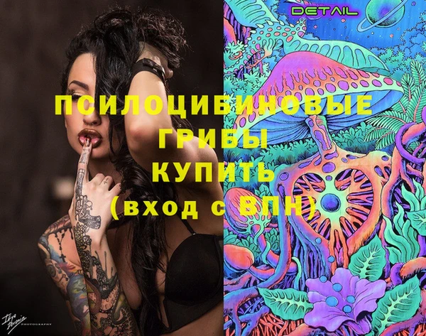 ПСИЛОЦИБИНОВЫЕ ГРИБЫ Алзамай