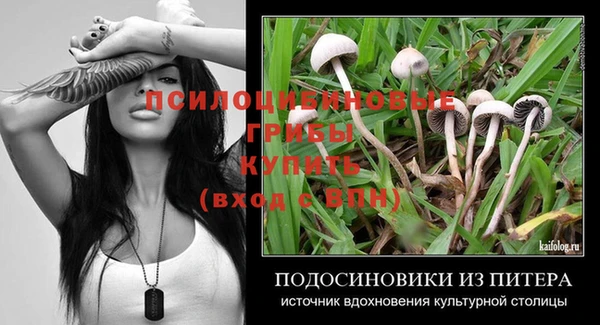 ПСИЛОЦИБИНОВЫЕ ГРИБЫ Алзамай