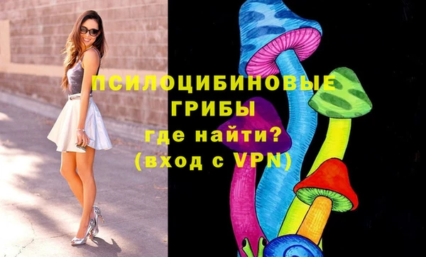 ПСИЛОЦИБИНОВЫЕ ГРИБЫ Алзамай