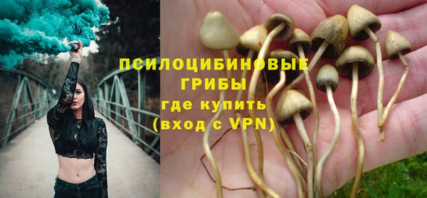 ПСИЛОЦИБИНОВЫЕ ГРИБЫ Алзамай