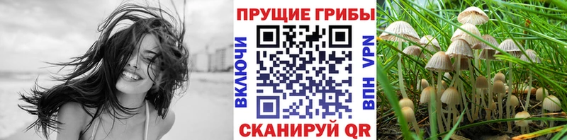 Псилоцибиновые грибы GOLDEN TEACHER  ссылка на мегу рабочий сайт  Сосенский 